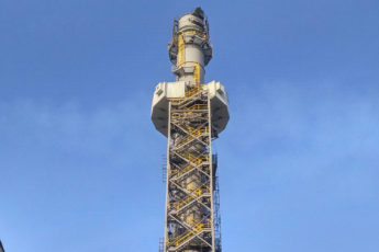 Resized Image