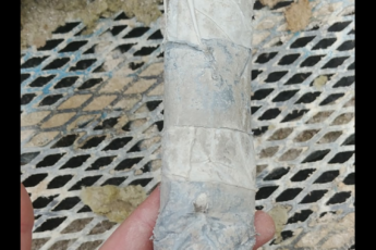 Resized Image