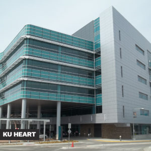 KU Heart project image